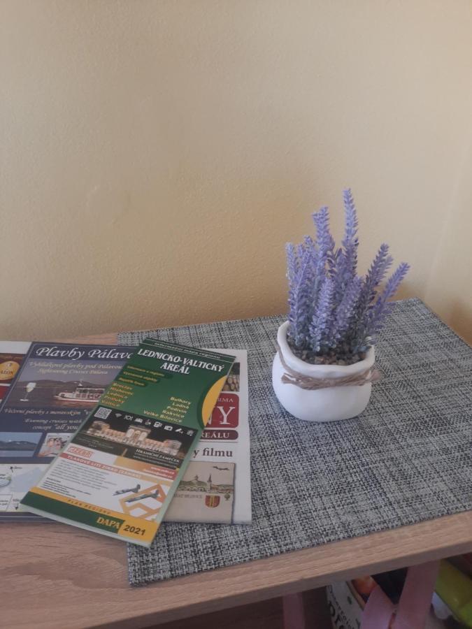 Apartmán Sandra Valtice Esterno foto