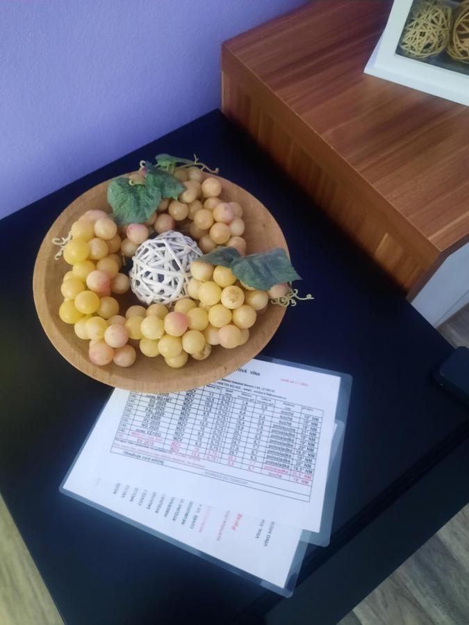 Apartmán Sandra Valtice Esterno foto